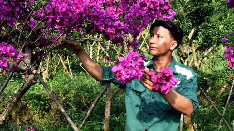 Bhươn pô giấy âng đha đhâm khuých goo