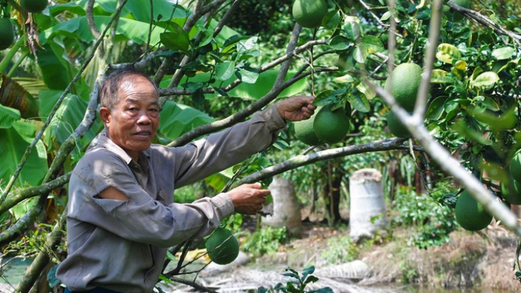 T’cooh Ba Liêm- Manuyh Đảng viên lâng bâc cơnh c’lâng bh’rợ t’mêê coh bh’rợ pa bhrợ