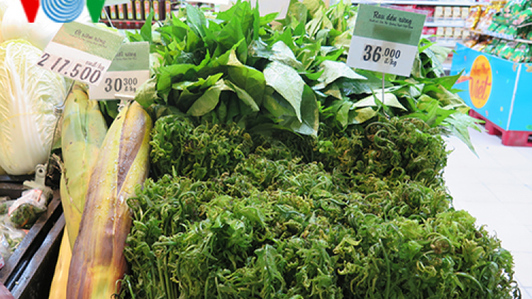 P’têệt pa zum pr’loọng đong: Cơnh bhrợ cha t’mêê âng đha nuôr Sơn Hà