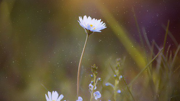 T'RUIH T'NGAY 29/10/2019