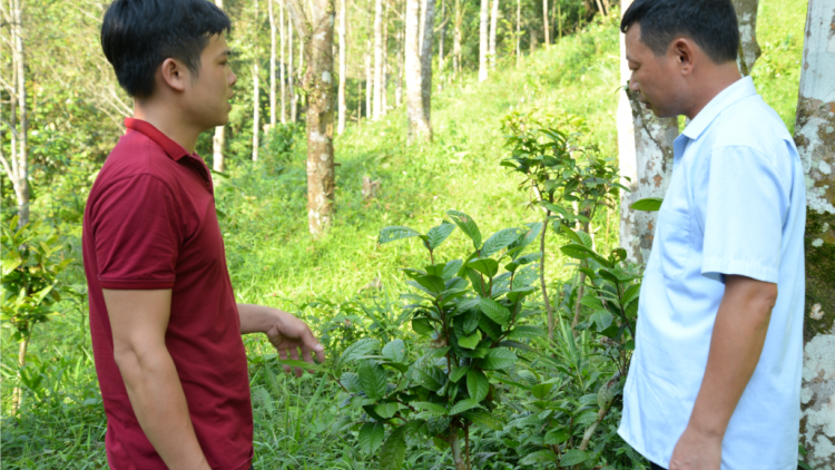 Ma nuýh Dao Quảng Ninh zư lêy lâng pa dưr tơơm za nươu đhị  vel đong