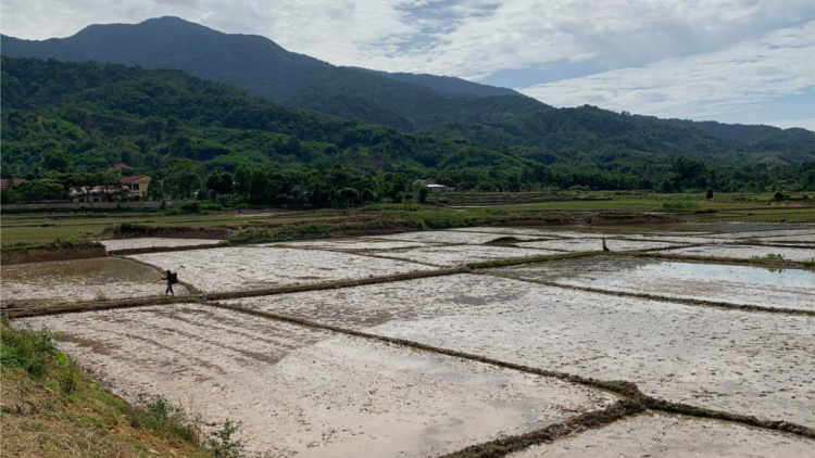 Da ding ca coong Thừa Thiên Huế: Pleng p’răng xớơt đhanuôr lưm zr’năh k’đhap coh pr’ặt tr’mông lâng bh’rợ tr’nêng