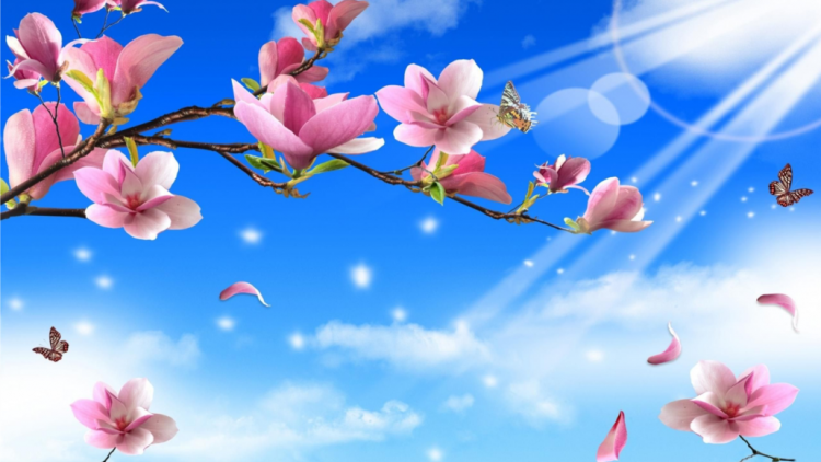 T'RUIH T'NGAY 9-2-2021