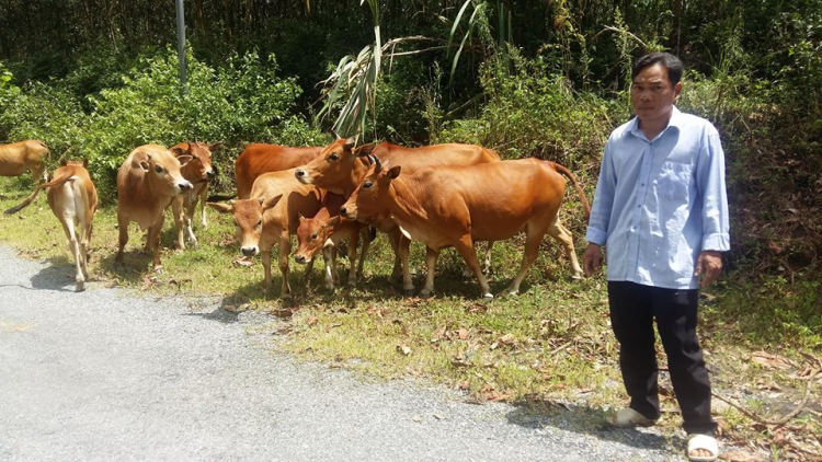 Bh’rợ c’roọl băn k’roóc zúp đhanuôr cóh k’coong ch’ngai t’bil ha ul pa xiêr đha’rứt