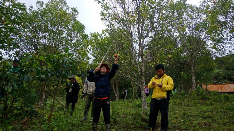 Đha đhâm Cơ Tu grơơ nhool k’rong bhrợ pa dưr bh’rợ du lịch p’têết pazưm lâng chóh píh cóh vel đông