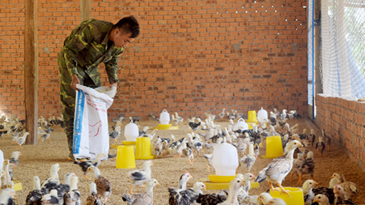 Quảng Nam: 9x băn a tứch lâng tơ lay