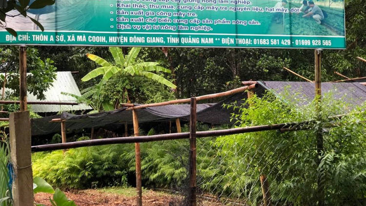 Đông Giang: Đươi dua khoa học công nghệ ooy bhrợ têng ha rêê đhuốch