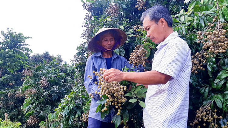 Z’lâh đha rựt đươi tợơ choh tơơm cha p’lêê