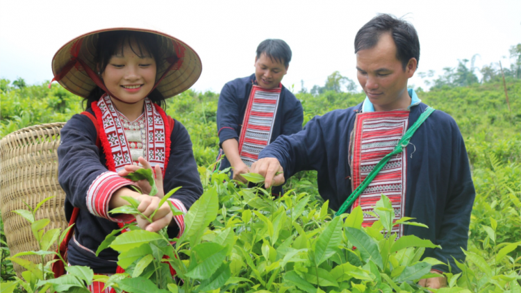 Triệu Tạ Vủi-Bí thư chi bộ dzợ p’niên cóh vel Dao k’đơơng a’cọ đắh pa dưr pa xớc bh’rợ tr’nêng