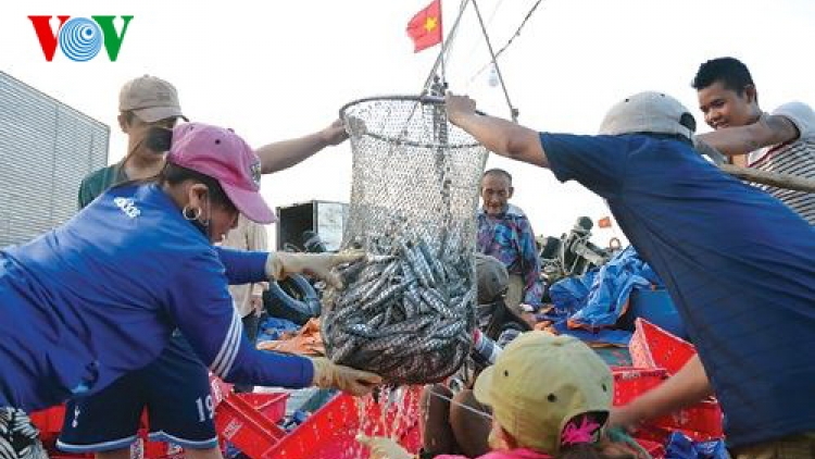 Chr’mệêt lêy bhiệc chroót pa chô râu bil bal tợơ râu cắh liêm âng môi trường đhị tỉnh Thừa Thiên-Huế