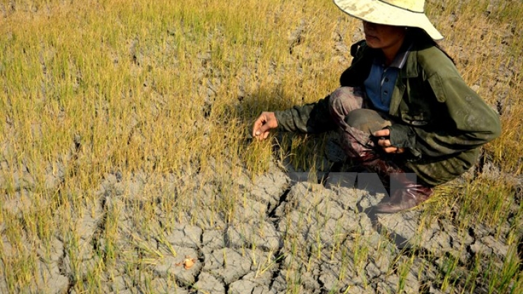 Da ding k’coong Quảng Nam: bấc đhăm ha roo ch’noọng c’lọt nắc zâng lâng ch’noọng xớơt, bha ruy pa hư