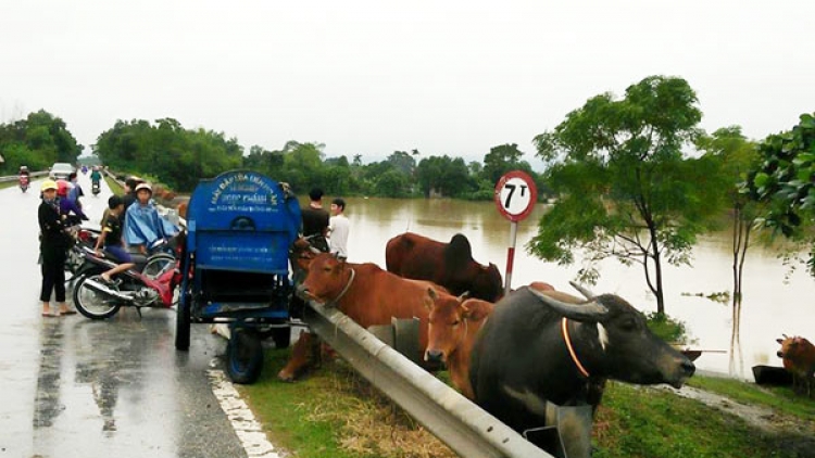 Hà Tĩnh: Muy ch’nắc bil tic, bấc chr’val nong đác đhậu tu boo túh