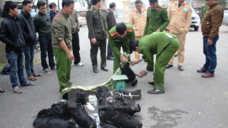 Hà Tĩnh: Bơơn lêy bấc boọ lâng n’loong lết xa nay cóh xe