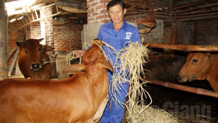 Tp.Hồ Chí Minh lấh 6 tỷ đồng tơợ Ngân hàng k’roóc zooi zúp manứih đha’rứt