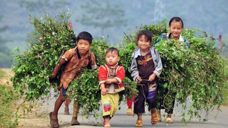 Chính sách zooi zúp pháp lý đoọng ha pêê đha’rứt, đhanuôr acoon cóh