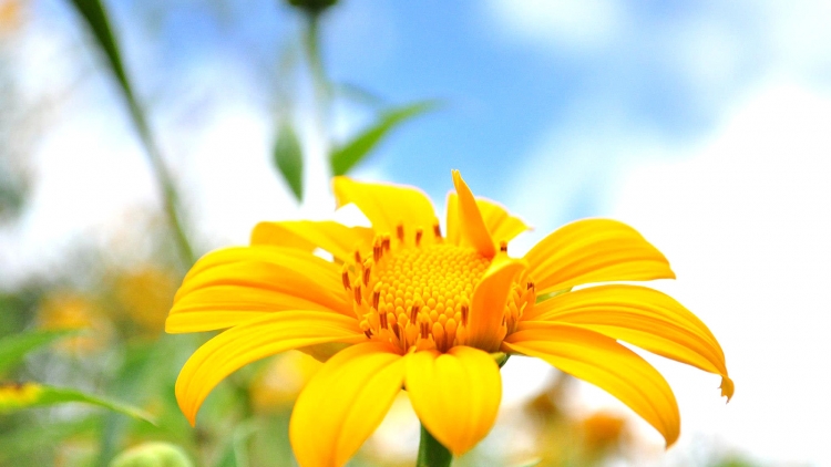 T'RUÍH PHÁT THANH T'NGAY 2/11