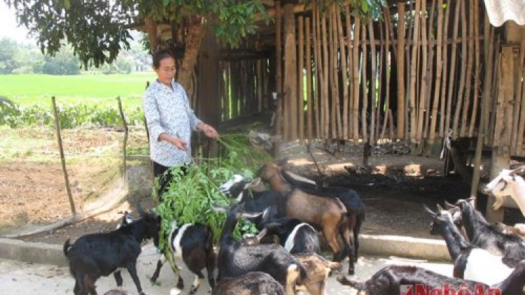Nghệ An vêy lấh 125 r’bhầu pr’loọng đong bhrợ têng kinh doanh choom