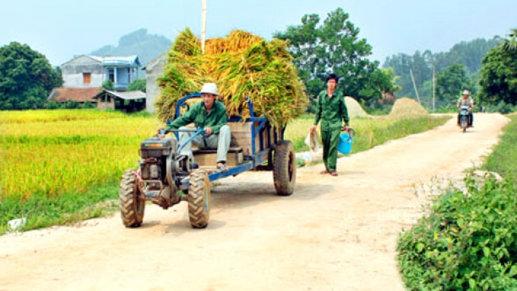 Đhanuôr Long An chrooi đoọng lấh 132 tỷ đồng bhrợ padưr vel bhươl t’mêê