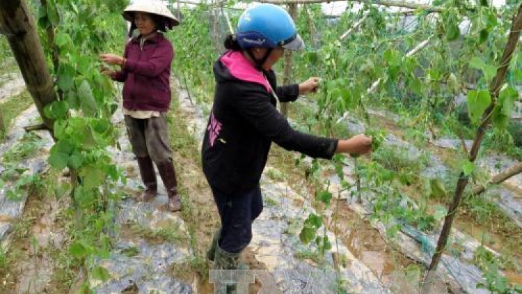 Quảng Ngãi t’bhlâng rạch bhrợ têng cớ xang túh