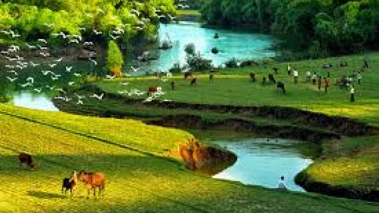 T'RUIH PHÁT THANH T'NGAY 27/12