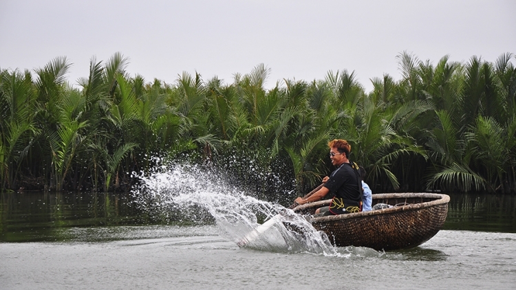 Crâng dừa bảy mẫu Cẩm Thanh.​