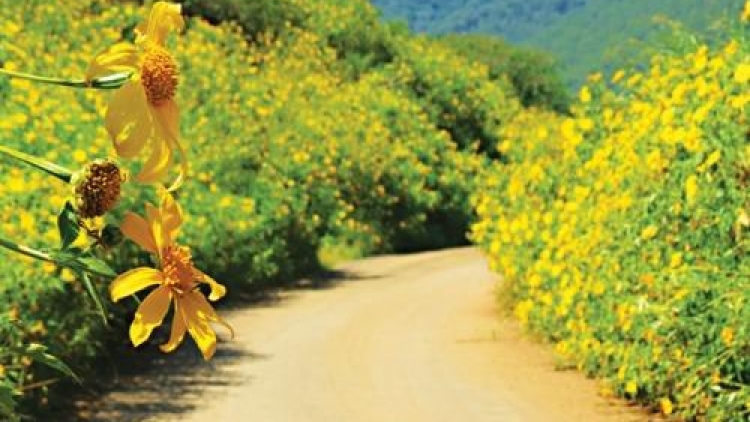 T'RUÍH PHÁT THANH T'NGAY 18-12