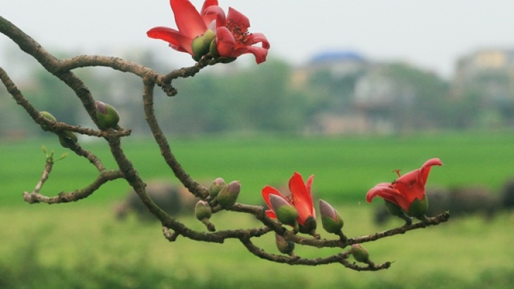 T'RUÍH PHÁT THANH T'NGAY 20-12