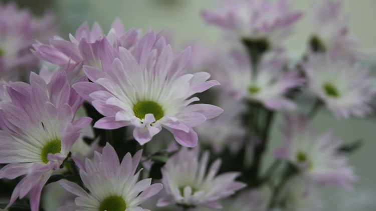 T'RUÍH PHÁT THANH T'NGAY 22-12