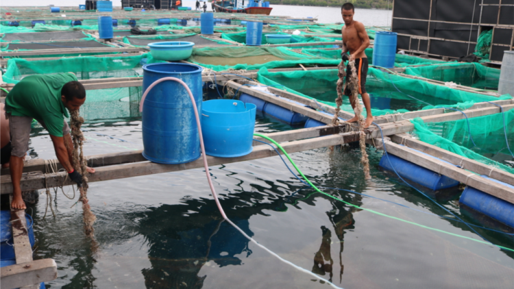 Đợ manuyh dưr k’van tơợ bh’rợ băn a chông axiu đươi đợ zên vặ âng Agribank