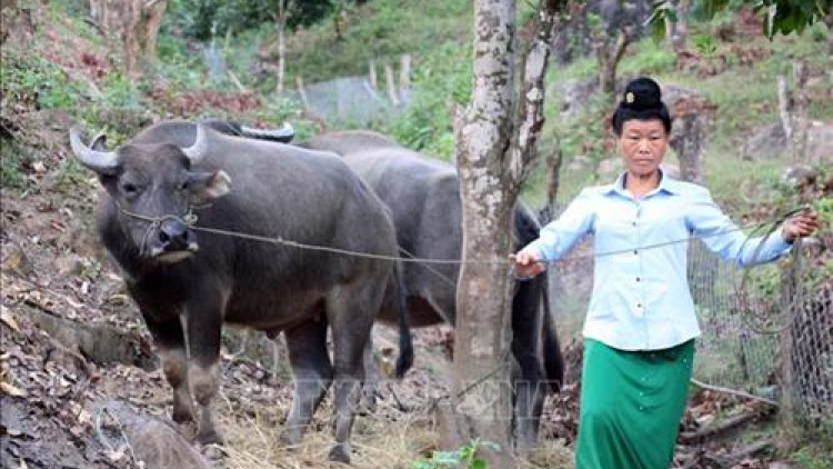 A moó Quảng Thị KẹoMa nứih pân đil acoon cóh Khơ Mú bhrợ cha choom