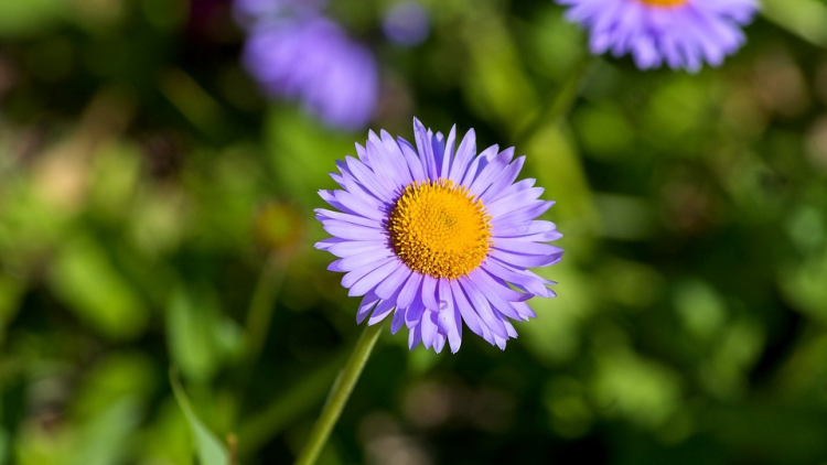 T’RUIH T’NGAY 08-01- 2020