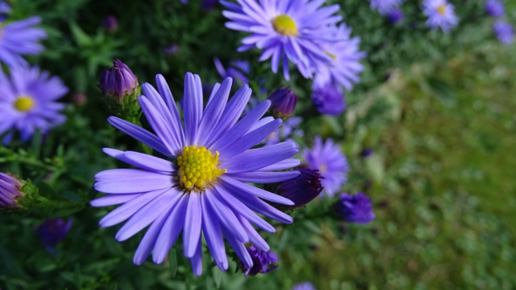 T'RUIH T'NGAY 24/3/2020