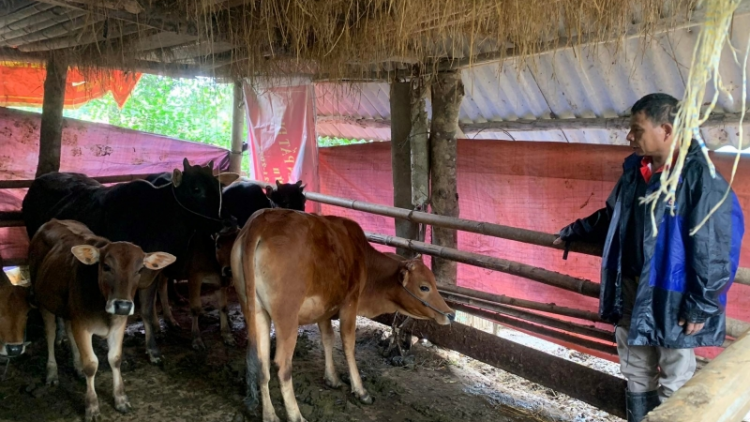 Thừa Thiên Huế: Cán bộ nông nghiệp xiêr ooy vel bhươl pa choom đoọng đha nuôr cha groong cha kêêt ha cr’năn bh’năn