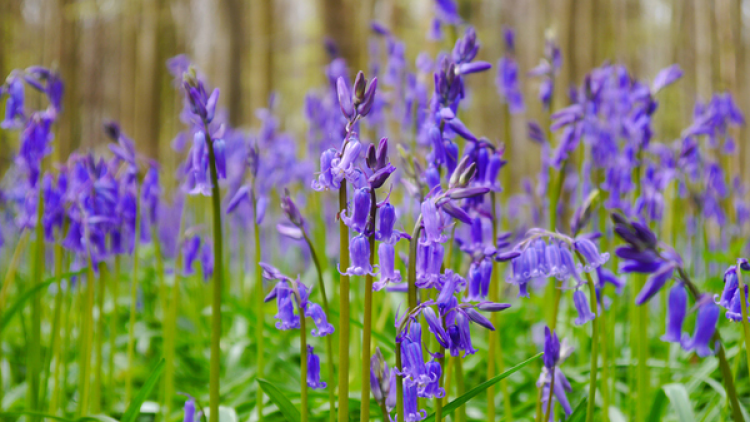 T'RUIH T'NGAY 14/11/2019