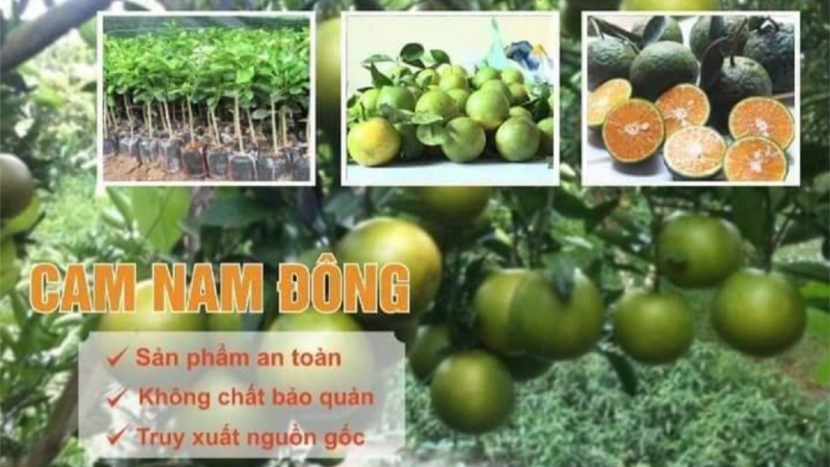 Cam Nam Đông- Zr’năh k’đhap zr’lụ pa câl