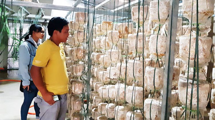 Đợ manuýh ta đhâm c’mor zay lâng bh’rợ ha rêê đhuốch