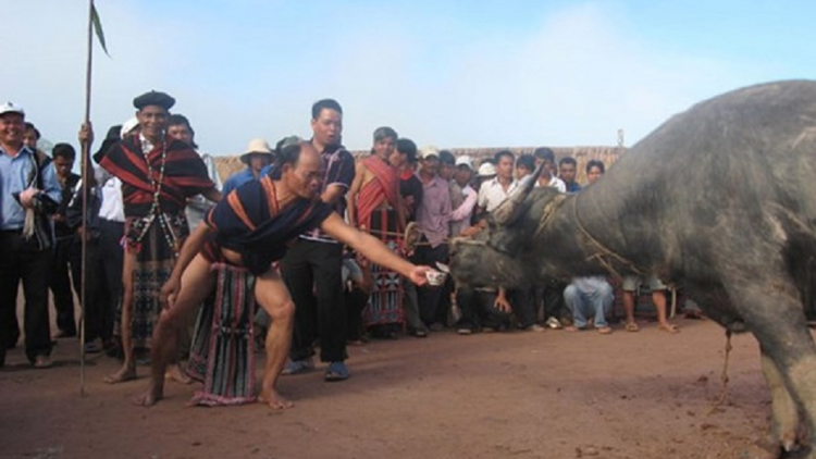 Đhanuôr Cơ Tu lơi j’niêng tắc t’rị coh t’ngay Tết Nguyên đán