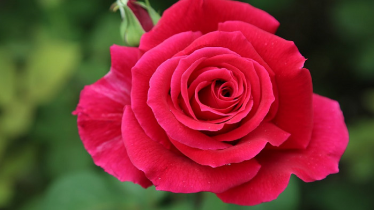 T’RUIH T’NGAY 26/6/2022