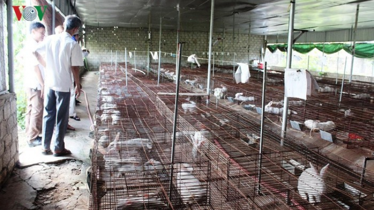 Băn tr’pai ting cr’noọ bh’rợ Nhật Bản-bh’rợ t’mêê cóh zr’lụ k’coong ch’ngai Lai Châu