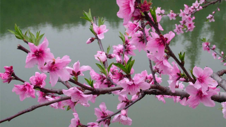 T'RUIH PA XUL T'NGAY 11/01/2022