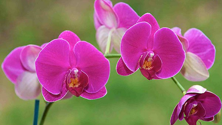 T'RUIH PA XUL T'NGAY 19-3-2022