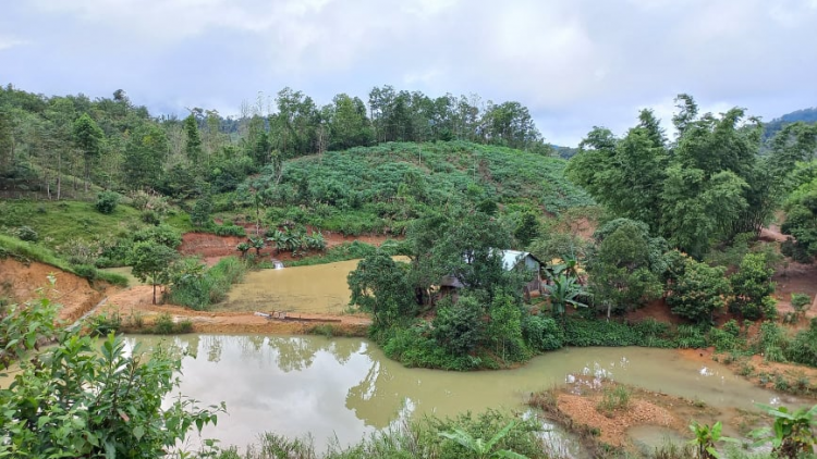 Liêm choom zên vặ Ngân hàng chính sách coh zr’lụ da ding k’coong Tây Giang