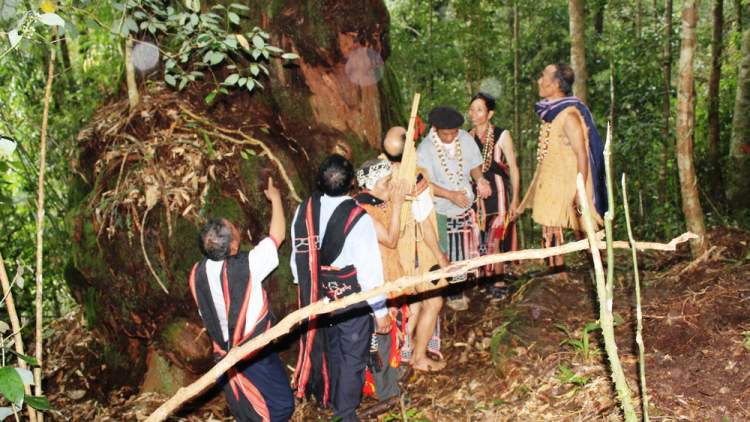 Liêm chr’nắp xa’nập n’joòng âng manứih Cơ Tu