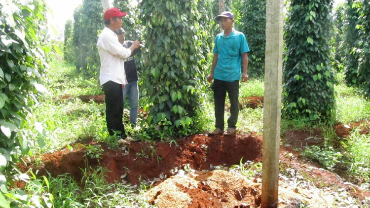 Hướng Hóa – Chr’năp a moot xiêr đệ, đha nuôr k’rang k’uôl