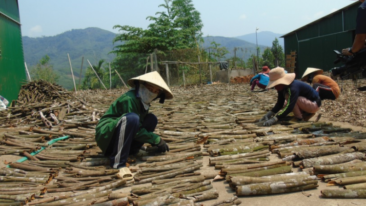 Đha nuôr Cor Trà Bồng coh đhr’năng pa xiêr đha rựt