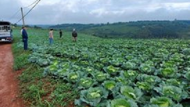 Ha rêê đhuôch Đăk Nông coh c’lâng bhrợ têng liêm choom cơnh lâng cr’đơơng âng Covid-19