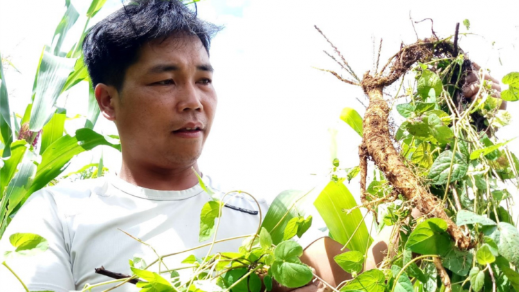 A Lăng Lơ- Manuyh liêm choom bhlâng coh zr’lụ c’noong k’tiêc Tây Giang