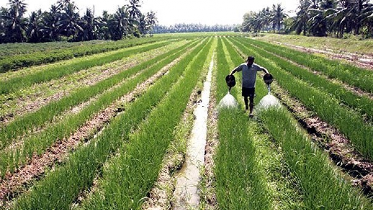 Đhanuôr Trà Vinh cha tết cung doọ ha vil bhiệc bhrợ têng k’van