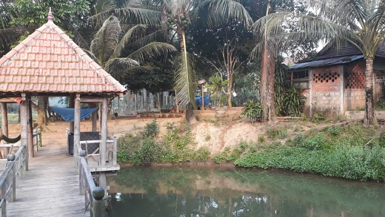 Quảng Trị: Giám đốc Công ty Lâm nghiệp k’xịa k’tiếc crâng
