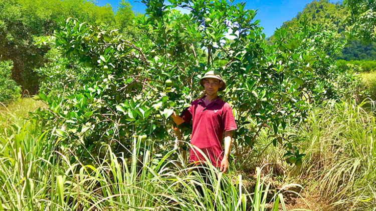 Đhanuôr bhrợ cha k’van tơợ bh’rợ bhrợ têng cha zr’nưm